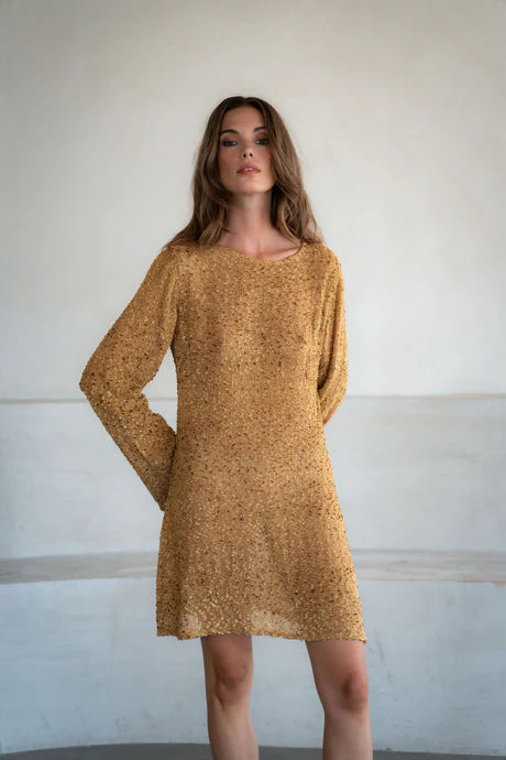 Jagger Mini Dress by A Perfect Nomad